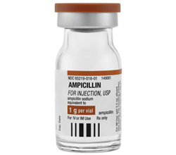Ampicillin for Injection, USP 