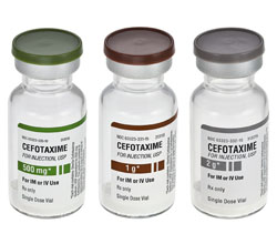 Cefotaxime_A2011_sm.jpg 