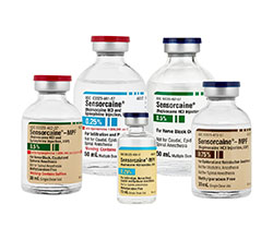 US-PH-Sensorcaine_FK_group-Image_SM.jpg 