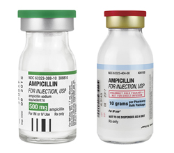 Ampicillin_for_Inj-FK-Image-SM.jpg 