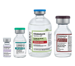 US-PH-Clindamycin_FK-Image-SM.jpg 